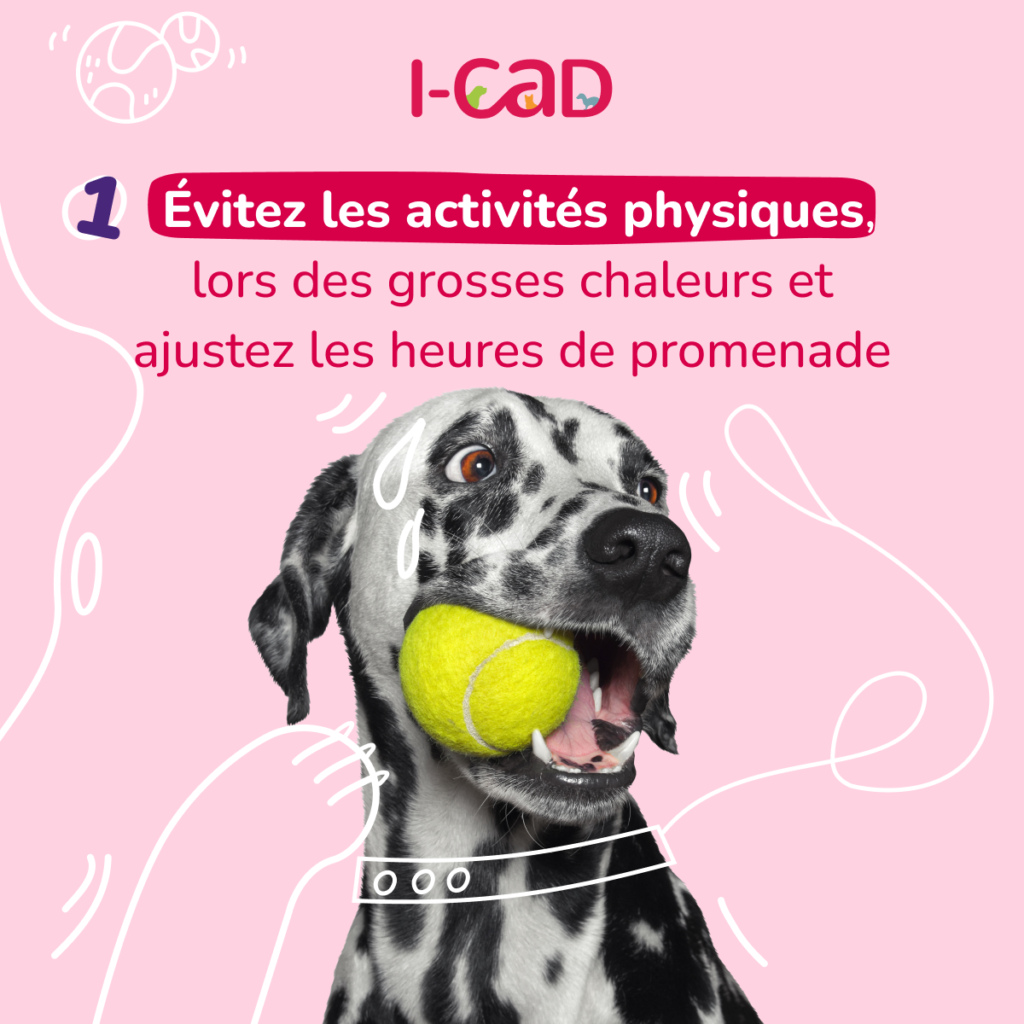 éviter les activités sportives