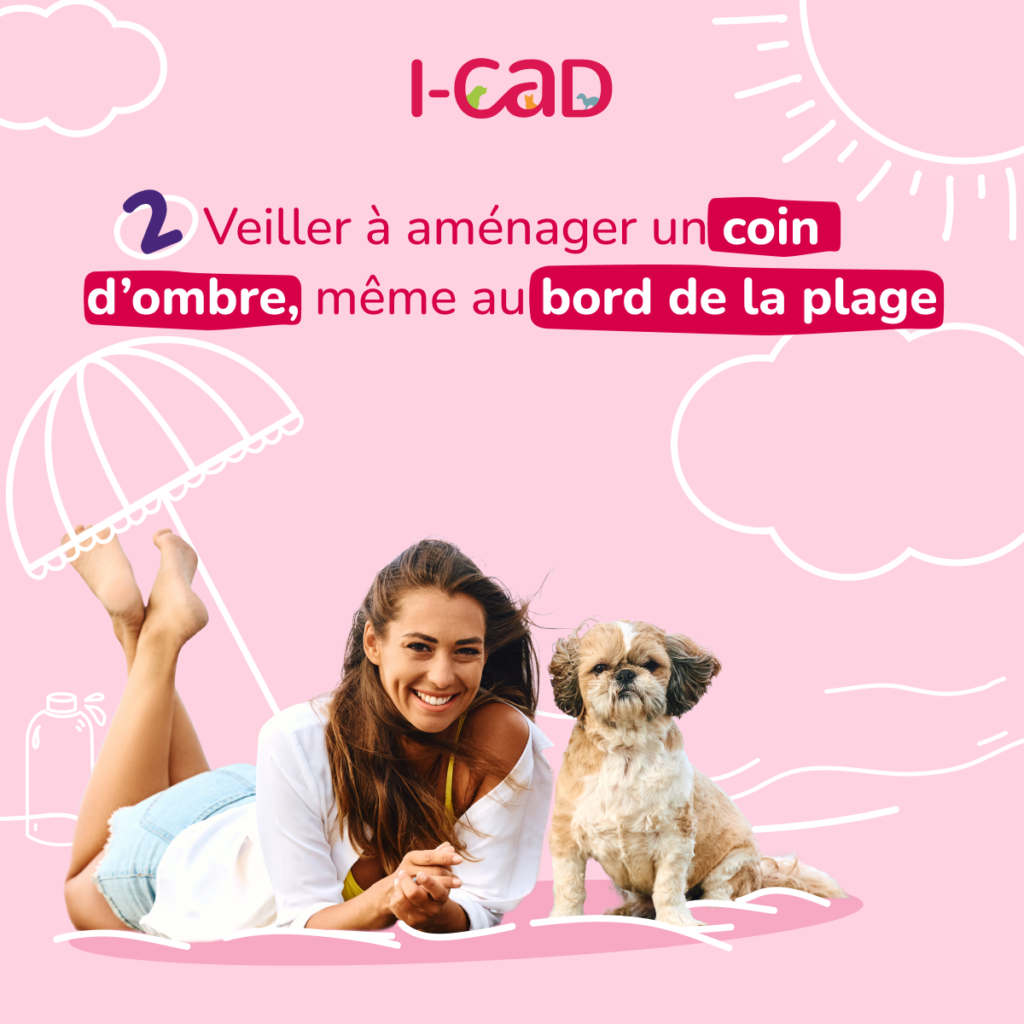 aménager un coin d'ombre pour vos animaux