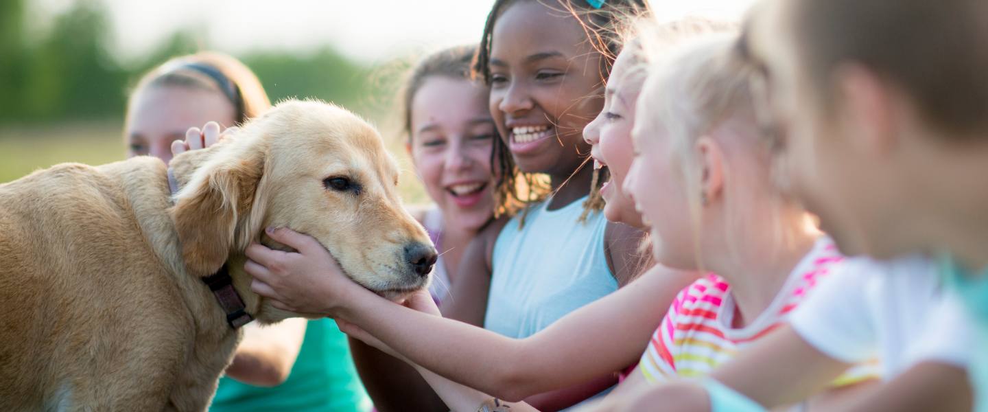 médiation groupe d'enfants avec chien