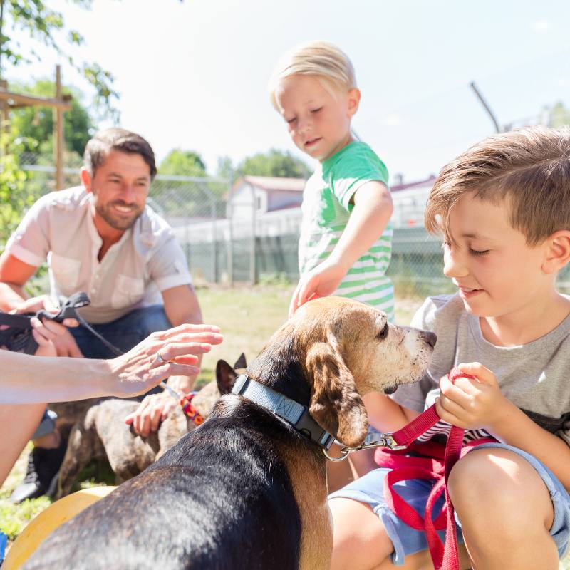 rassemblement d'enfants autour d'un chien