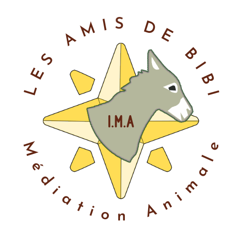 Association les Amis de Bibi