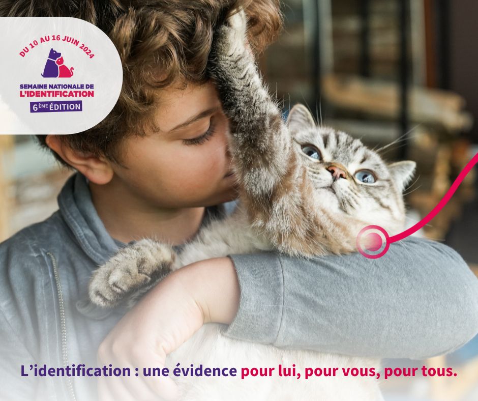 prévention identification