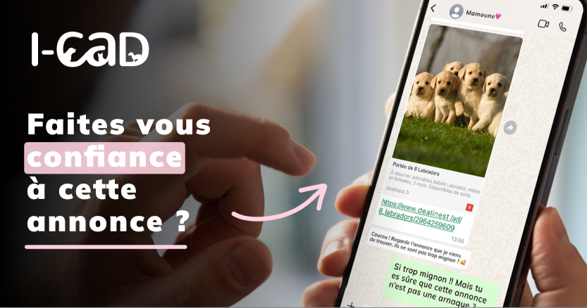 Faites-vous confiance à cette annonce ?