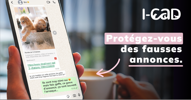 Protégez-vous des arnaques.