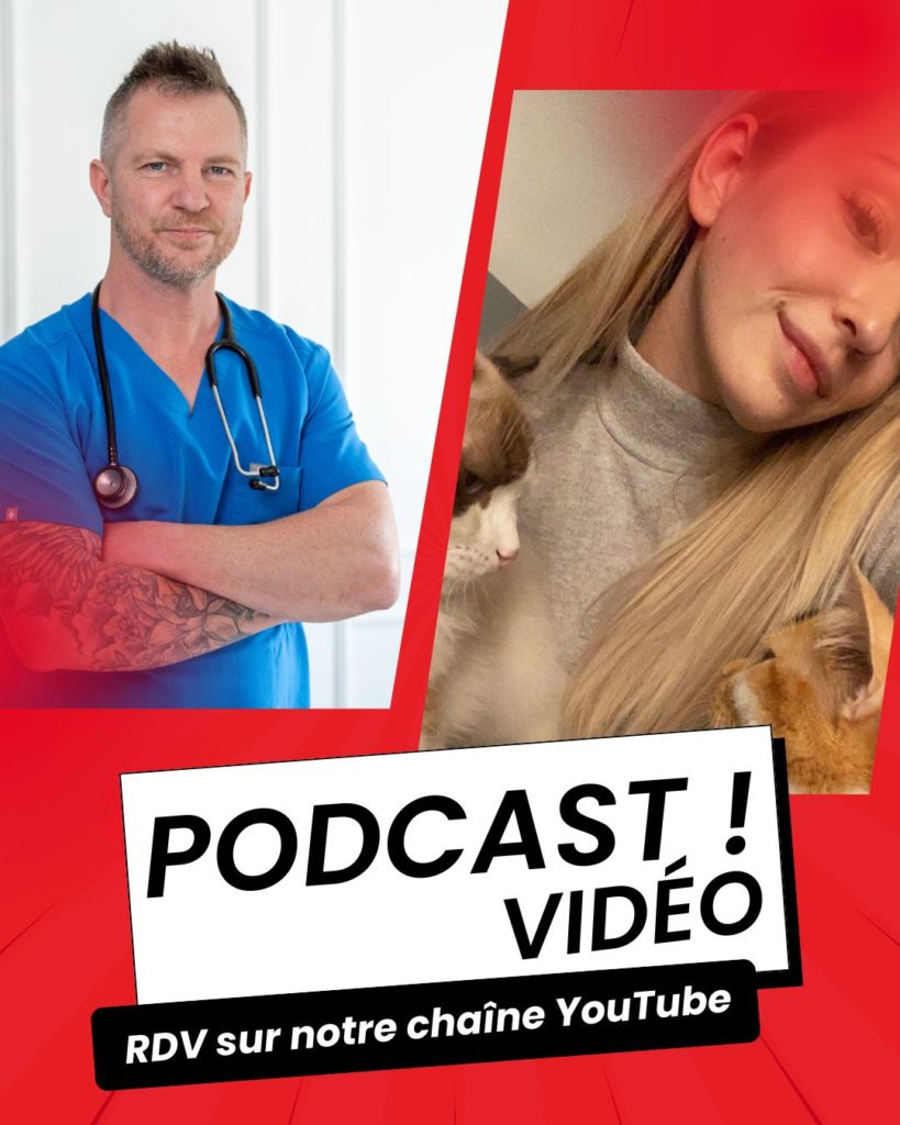 Visuel article Podcast